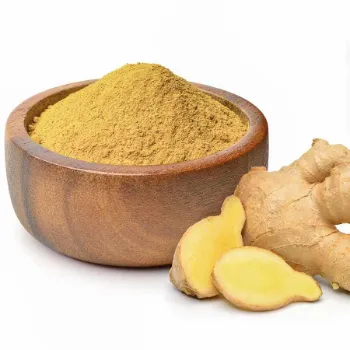 Ginger (15)-8730248-82659.webp